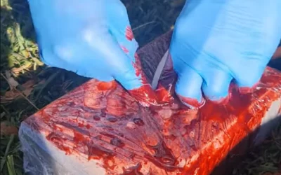 Stop the Bleed and tactical refresher training